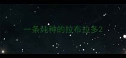 一条纯种的拉布拉多