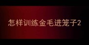 怎样训练金毛进笼子
