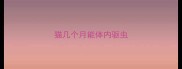 猫几个月能体内驱虫