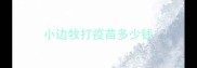小边牧打疫苗多少钱