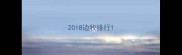2018边牧排行