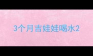 3个月吉娃娃喝水