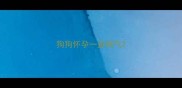 狗狗怀孕一直喘气