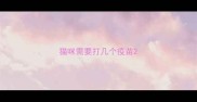 猫咪需要打几个疫苗
