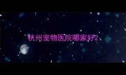 杭州宠物医院哪家好