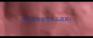 拉布拉多爱吃什么蔬菜
