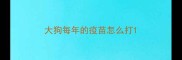 大狗每年的疫苗怎么打