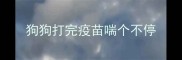 狗狗打完疫苗喘个不停