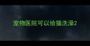 宠物医院可以给猫洗澡