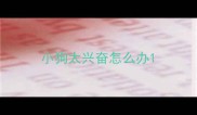 小狗太兴奋怎么办