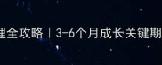 暹罗猫幼猫护理全攻略3-6个月成长关键期这样养才科学