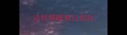 边牧眼睛有红血丝