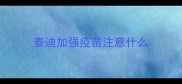 泰迪加强疫苗注意什么
