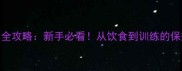 哈士奇喂养全攻略新手必看从饮食到训练的保姆级指南