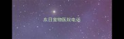 东日宠物医院电话