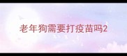 老年狗需要打疫苗吗