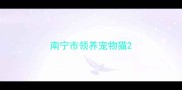 南宁市领养宠物猫