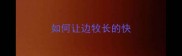 如何让边牧长的快