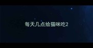 每天几点给猫咪吃