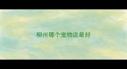 柳州哪个宠物店最好