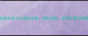 边牧皮肤出现小水泡的全面症状识别科学护理与预防指南