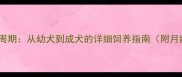 萨摩耶成长周期从幼犬到成犬的详细饲养指南附月龄发育表