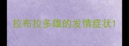 拉布拉多雄的发情症状