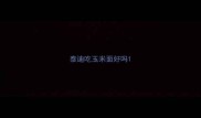 泰迪吃玉米面好吗