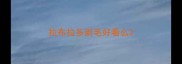 拉布拉多剃毛好看么