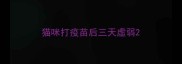 猫咪打疫苗后三天虚弱