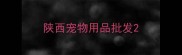 陕西宠物用品批发
