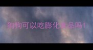 狗狗可以吃膨化食品吗