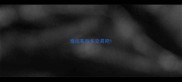 淮拉布拉多交易吧