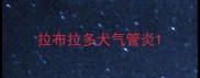 拉布拉多犬气管炎