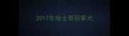2017年哈士奇冠军犬