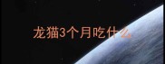 龙猫3个月吃什么
