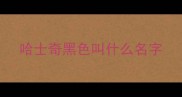 哈士奇黑色叫什么名字