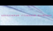 杜宾犬幼犬训练黄金期3个月开始科学启蒙新手必看训练指南