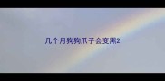 几个月狗狗爪子会变黑