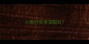 小狗打完育苗呕吐