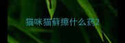 猫咪猫藓擦什么药