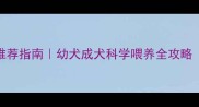拉布拉多犬粮推荐指南幼犬成犬科学喂养全攻略附避坑清单