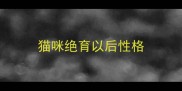 猫咪绝育以后性格