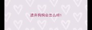 遗弃狗狗会怎么样