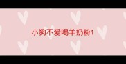 小狗不爱喝羊奶粉