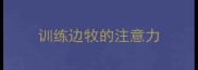 训练边牧的注意力