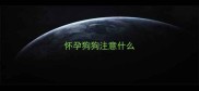 怀孕狗狗注意什么
