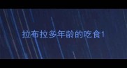 拉布拉多年龄的吃食