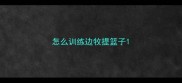 怎么训练边牧提篮子