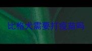比格犬需要打疫苗吗